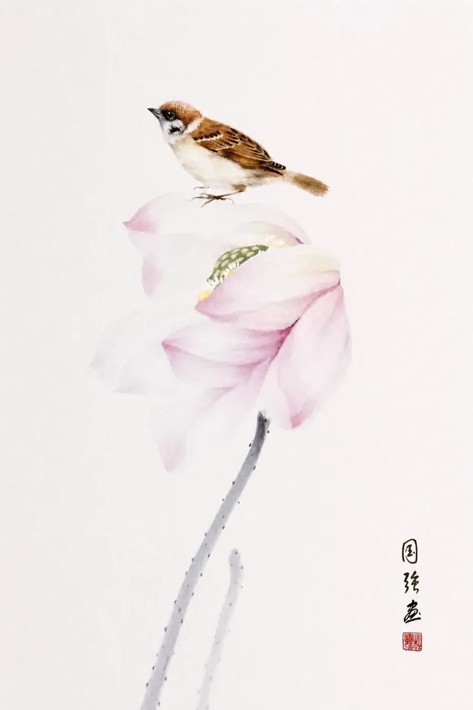 蓮塘の雀
