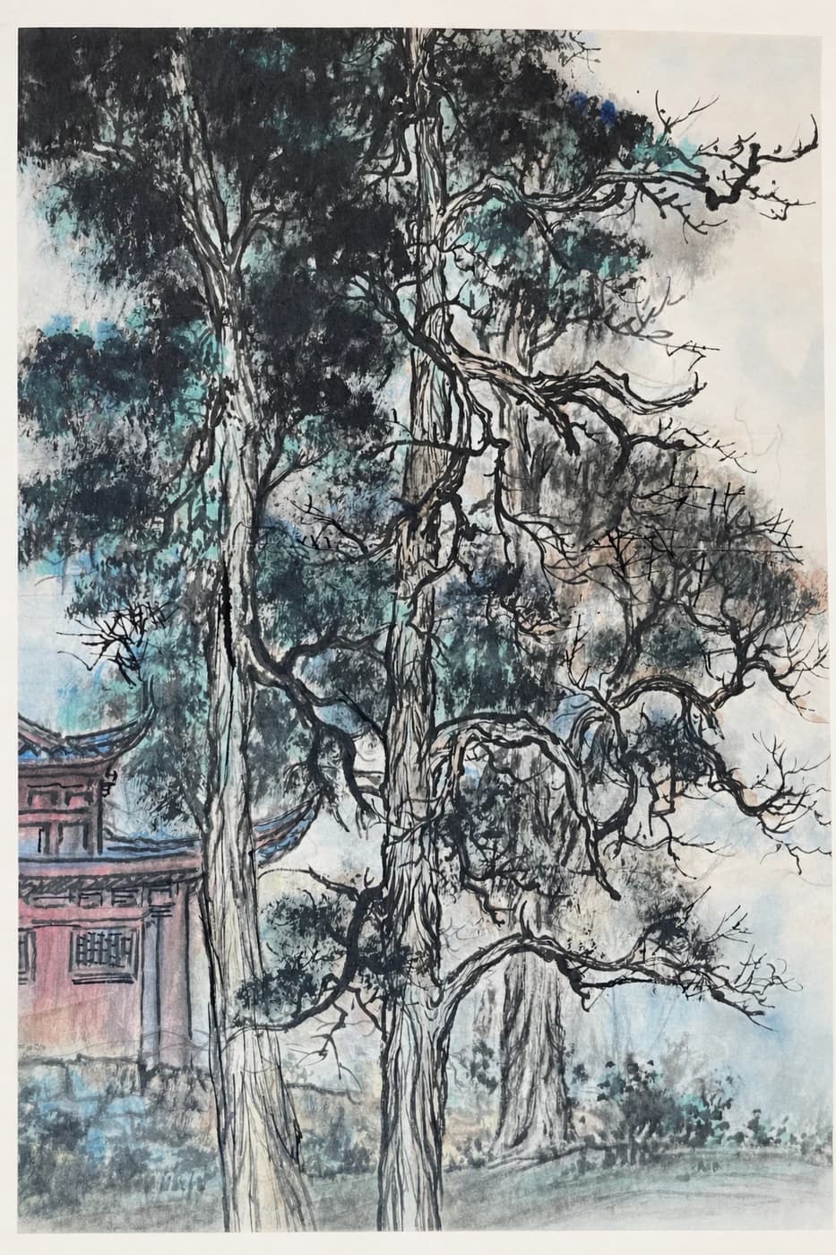 翠嶺蒼松