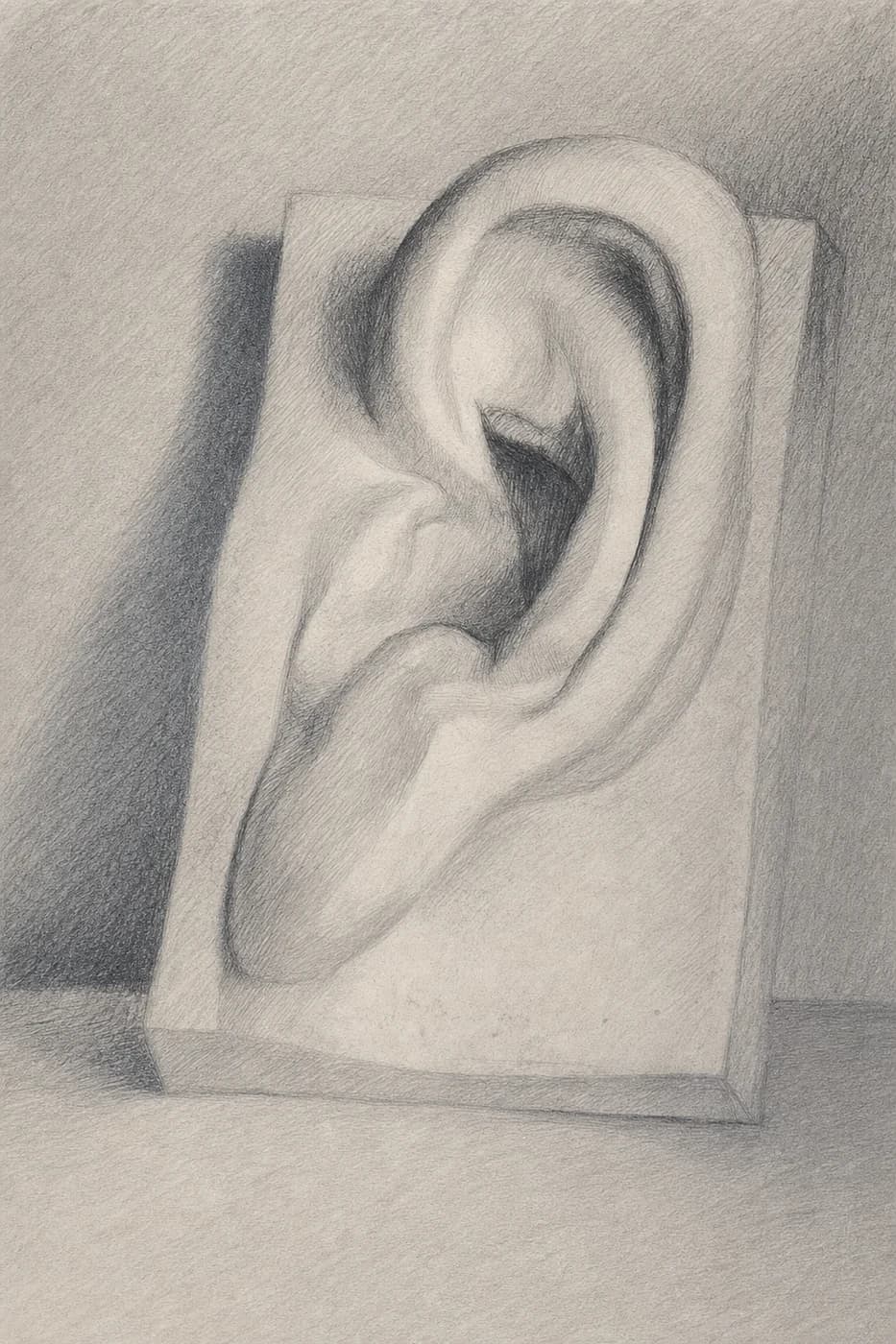 耳の習作